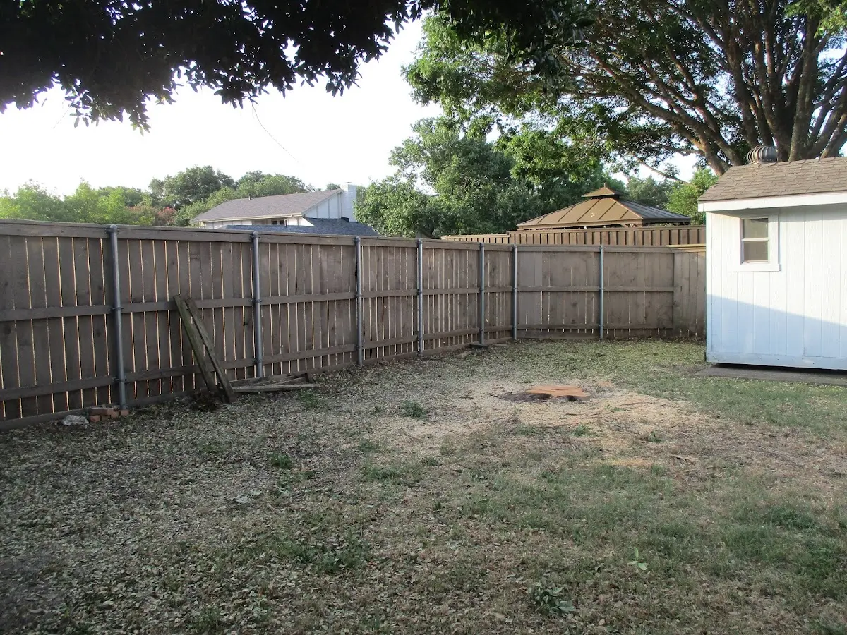 Cleared yard after professional tree removal in Norwood